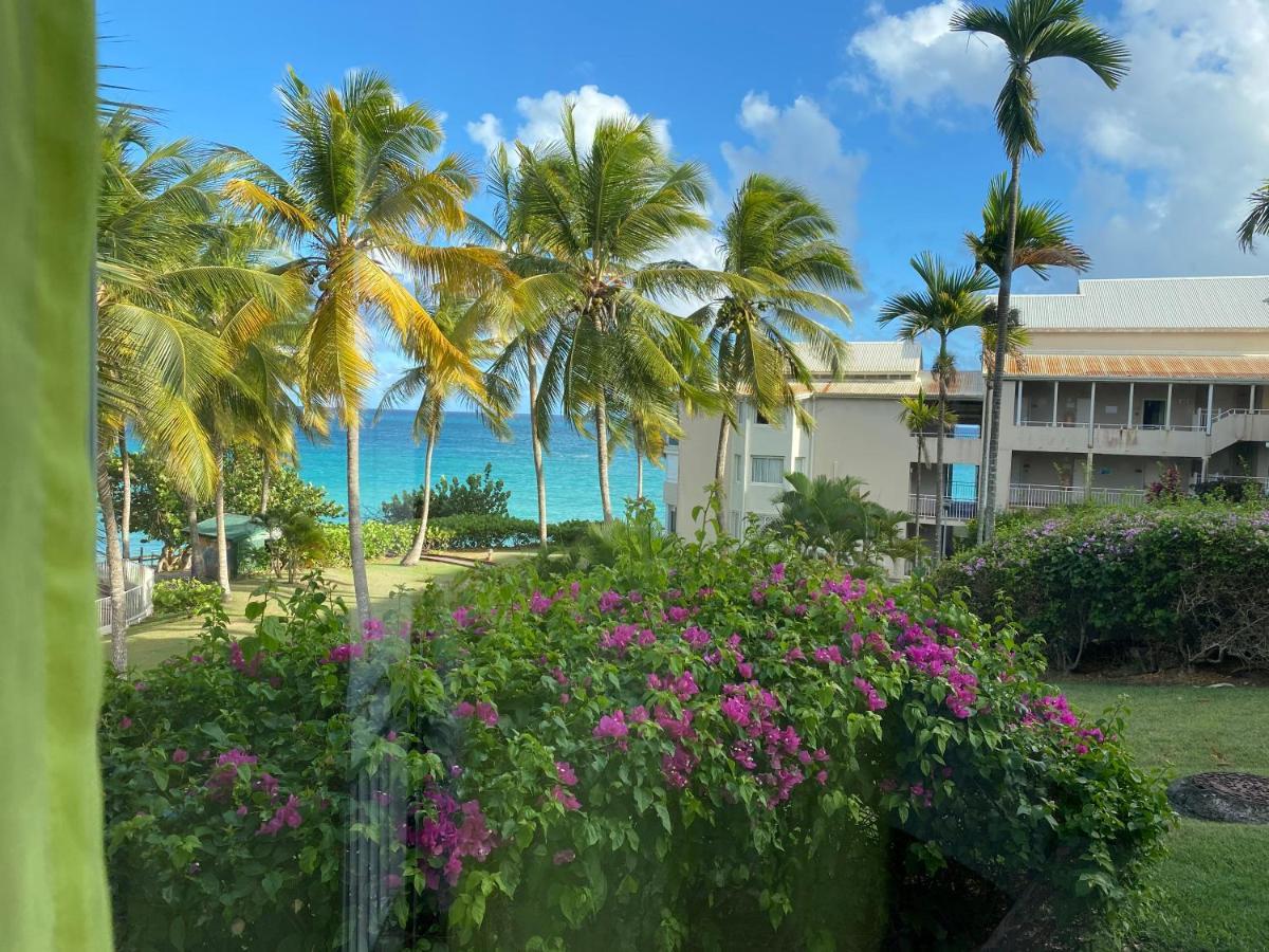La Pepite De Gosier Le Gosier (Grande-Terre) Exterior foto
